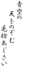 

青空の　
　　天をのぞむ
　　　　　毛槍あじさい