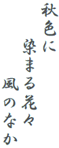 秋色に
　　染まる花々
　　　　風のなか