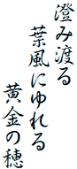 澄み渡る
　　葉風にゆれる
　　　　　　　黄金の穂