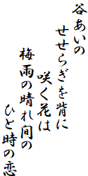 谷あいの
　　せせらぎを背に
　　　　　　咲く花は
　　　　梅雨の晴れ間の
　　　　　　　　　ひと時の恋