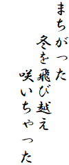 まちがった　　
　　冬を飛び越え
　　　　咲いちゃった
