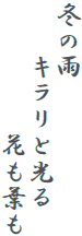 冬の雨
　　キラリと光る
　　　　　花も葉も