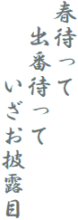 春待って
　出番待って
　　　いざお披露目