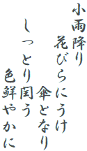 小雨降り
　　花びらにうけ
　　　　　傘となり
　しっとり閏う
　　　　色鮮やかに