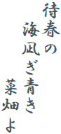 待春の
　海凪ぎ青き
　　　　菜畑よ