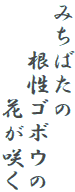 みちばたの
　　根性ゴボウの
　　　　花が咲く